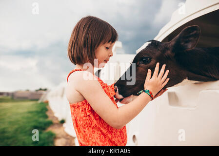 Ragazza di accarezzare un bambino mucca Foto Stock