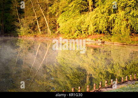 La mattina presto la luce del sole e di riflessioni su un lago Foto Stock