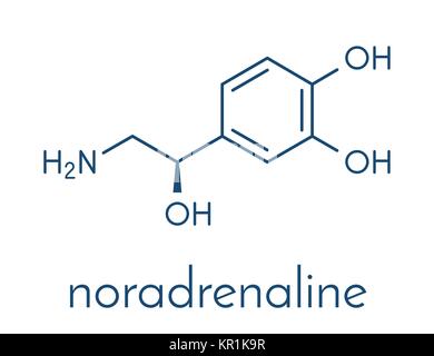 Norepinefrina (noradrenalina, norepi) ormone e neurotrasmettitore molecola. Formula di scheletro. Illustrazione Vettoriale