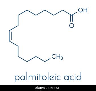 Acido palmitoleico (omega-7) Molecola di acido grasso. Formula di scheletro. Illustrazione Vettoriale