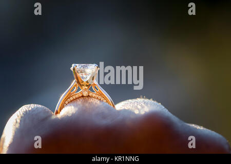 Corona diamantata close up Foto Stock