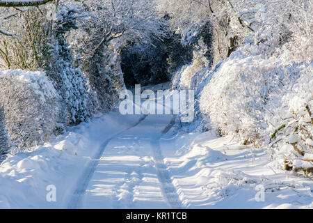 Ragdon Lane nella neve, sulla collina Ragleth, Church Stretton, Shropshire, Regno Unito Foto Stock