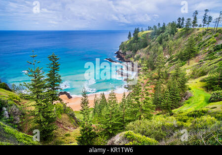 Isola Norfolk, australiano territorio esterno, Anson Bay, costiera vista da Anson Bay riserva Foto Stock