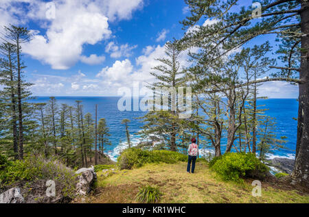 Isola Norfolk, australiano territorio esterno, Norfolk pineta a due camini riserva Foto Stock