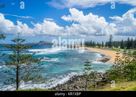 Isola Norfolk, australiano territorio esterno, Norfolk Pino costa chiodati al cimitero baia con vista di Nepean e Phillip Islands Foto Stock