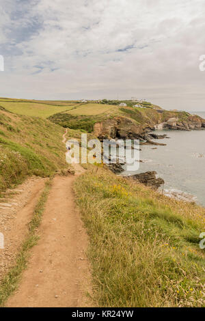 Costa sud-ovest percorso Lizard Point, Cornwall, Regno Unito. Foto Stock