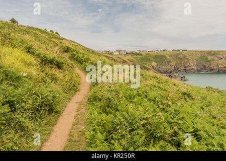 La South West Coast Path, Housel Bay, Cornwall, Regno Unito. Foto Stock
