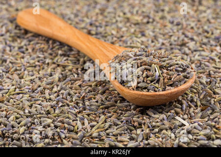 Lavanda essiccata tè organici Foto Stock