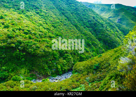 Paesaggio di montagna. Levada 25 das Fontes rotta. Madeira, Portogallo, Europa. Foto Stock