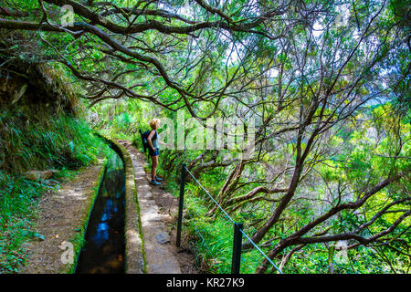 Donna escursionismo in una di laurisilva. Levada 25 das Fontes rotta. Madeira, Portogallo, Europa. Foto Stock