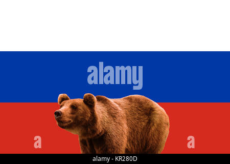 Bandiera della Russia e russo orso bruno. Patriottico nazionale simboli della Russia. Recare sullo sfondo della bandiera russa. Mondo stereotipo. La nazionale di un Foto Stock