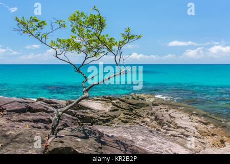 Bellissima costa rocciosa su Koh Kood island in Thailandia Foto Stock
