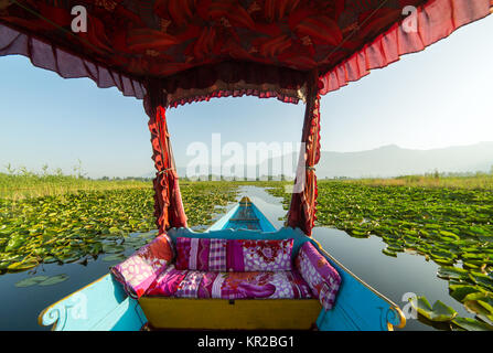 La splendida vista dal tradizionale barca shikara su dal lago, Srinagar, India. Foto Stock