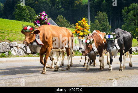 La transumanza evento in Charmey Foto Stock