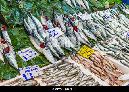 Mercato del pesce con una grande selezione di Istanbul Foto Stock