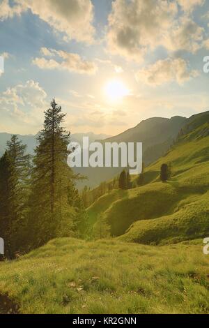 Alpine Falre al tramonto Foto Stock