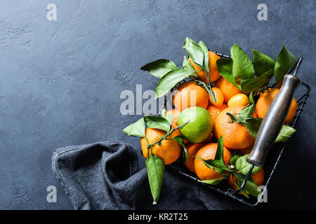 Tangerini freschi con foglie verdi nel cestello sul backround scuro. Vista da sopra con copia spazio per il testo Foto Stock