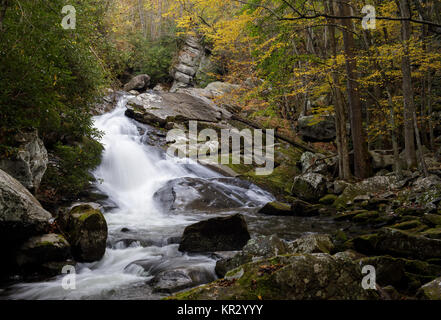 Lynn Camp rebbio è uno dei due principali affluenti che compongono il polo centrale del piccolo fiume nella Great Smoky Mountain National Park. Vi si può accedere attraverso il polo centrale il sentiero che segue il flusso. Il piccolo fiume è di circa 60 miglia lungo e molto panoramico. Essa inizia entro il Great Smoky National Park e alla fine si svuota nel fiume Tennessee a Fort Loudon Lago. Foto Stock