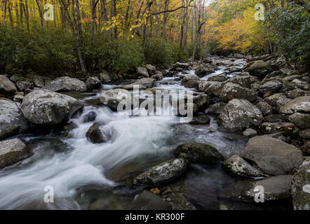 Il West rebbio è uno dei tre principali affluenti che compongono il Little Pigeon River. Esso è il più ampiamente conosciuto tributario dovuta alla città di Pigeon Forge e Gatlinburg che giacciono lungo il suo percorso. Pigeon Forge, Tennessee ha un mulino situato lungo il fiume. Tributari soddisfare in Sevierville, Tennessee per formare il Little Pigeon River, che unisce il francese ampio fiume a sud di Douglas Dam. Foto Stock