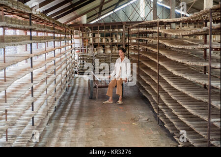 Un vecchio laterizi nel delta del Mekong. Il delta del Mekong è diventato popolare tra i turisti che desiderano visitare il Vietnam rurale. Foto Stock