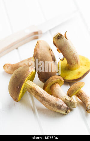 Fresco di funghi di bosco con funghi porcini. Foto Stock