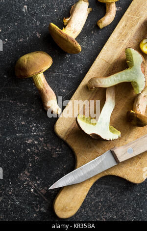 Fresco di funghi di bosco con funghi porcini. Foto Stock