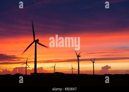 Silhouette di windturbines su un fantastico tramonto Foto Stock