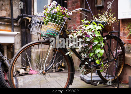 Bicicletta colorati che trasportano fiori parcheggio contro la parete Foto Stock