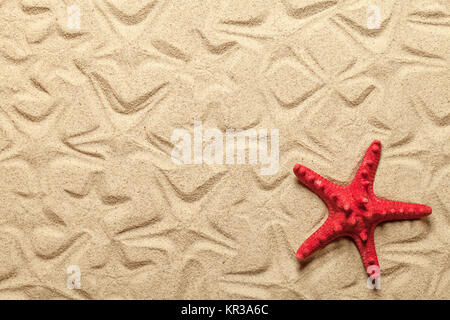 Modelli stella di mare sulla spiaggia di sabbia Foto Stock