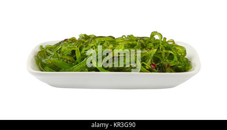 Vicino la porzione di verde alghe wakame salad sulla piastra bianca isolata su sfondo bianco, basso angolo di visione Foto Stock