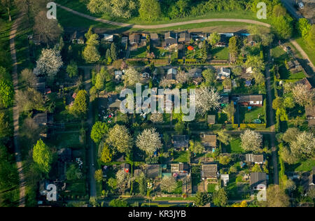 Riparto giardino Nauheimer Straße, Duisburg-Neumühl, alberi fioriti, riparto giardino, assegnazioni, giardino capannoni, Schreberhäuser, Duisburg, la zona della Ruhr, Foto Stock