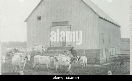 "Storia ufficiale della Cornovaglia formaggio e burro Board' (1919) Foto Stock