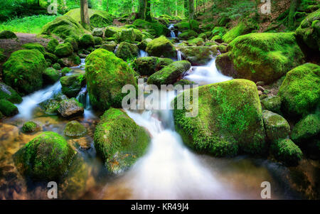 Mountain Creek con acqua chiara dolcemente a cascata verso il basso attraverso la moss rocce coperte di luce soffusa Foto Stock