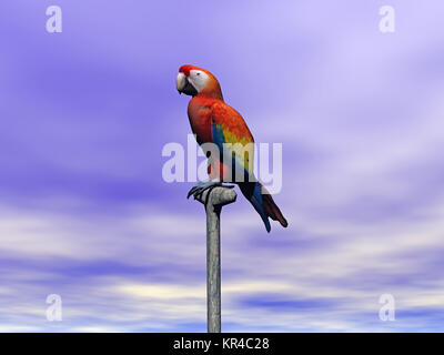 Parrot esentato Foto Stock