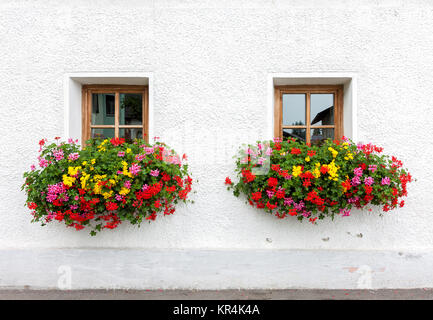 Due finestre con fiori Foto Stock