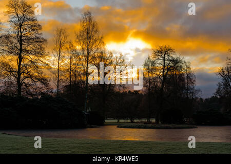 Orange sunrise over Congelato stagno e gli alberi nel parco pubblico. Location Ronneby nel Blekinge, Svezia. Foto Stock