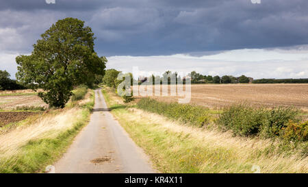 Un paese stretto lane scorre attraverso i campi e i terreni agricoli a grande Gidding, sul confine di Huntingdonshire e Northamptonshire, in Inghilterra del Midlands. Foto Stock