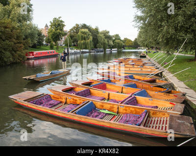 Cambridge, Inghilterra, Regno Unito - 19 agosto 2017: Tradizionale punt barche sono ormeggiate fino sulla riva del fiume della camma in Cambridge. Foto Stock