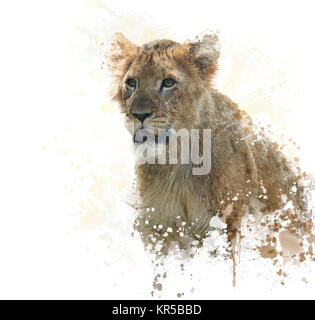 Lion Cub acquerello Foto Stock