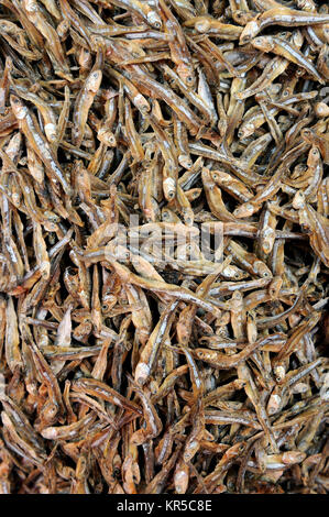 Piccolo pesce secco usato nella cucina asiatica Foto Stock