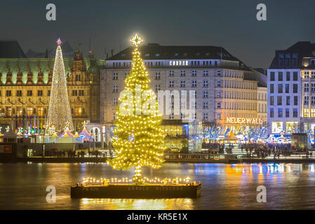 Alster abete per il tempo di Natale sul Alster interno ad Amburgo, Germania, Europa Alstertanne zur Weihnachtszeit auf der Binnenalster in Amburgo, DT Foto Stock