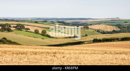 Campi di pascolo e stoppia di raccolto coprono le ondulate colline del Dorset Downs vicino a Dorchester. Foto Stock