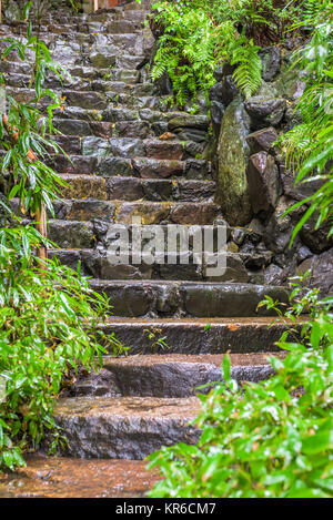 Wet di gradini di pietra a Kyoto, in Giappone. Foto Stock