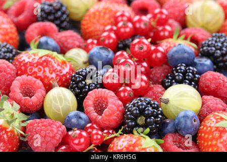 Bacche Fragole Lamponi Mirtilli Foto Stock