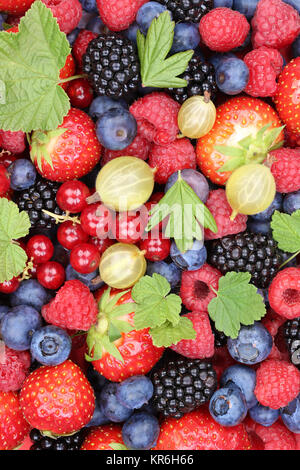 Bacche frutta Fresca Fragole Lamponi Mirtilli sfondo Foto Stock