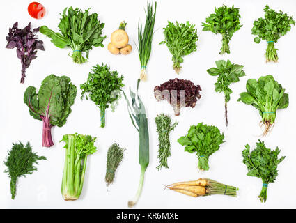 Vari grappoli di fresche erbe culinarie Foto Stock