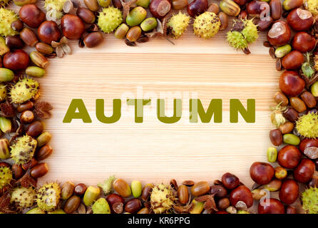 Autunno scritto su legno con bordo di beechnuts, conkers, ghiande Foto Stock