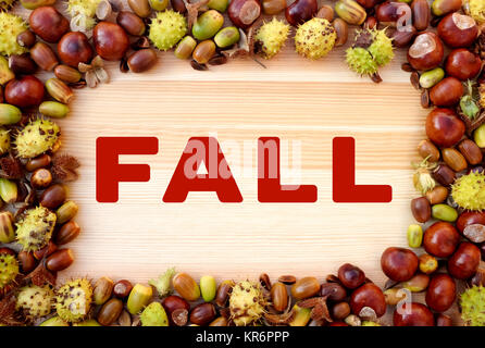 Caduta scritto su legno con bordo di beechnuts, conkers, ghiande Foto Stock