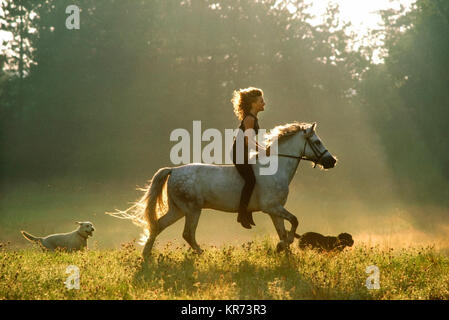 Lee Amory equitazione di Hamilton, ma USA Foto Stock