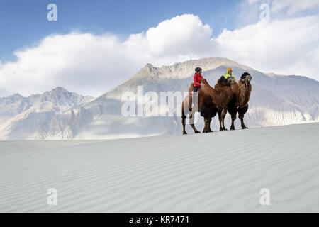 Madre e figlio in sella a doppia gobba cammelli e attraversando il deserto nella Valle di Nubra, Ladakh, Jammu e Kashmir India Foto Stock